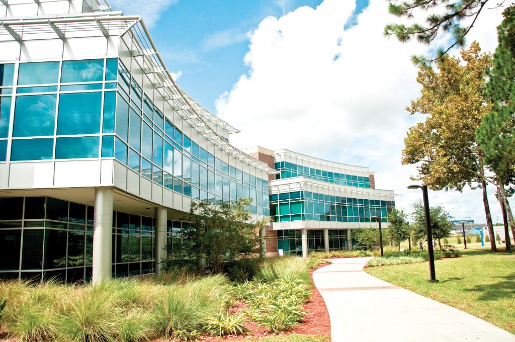 phd programs university of north florida